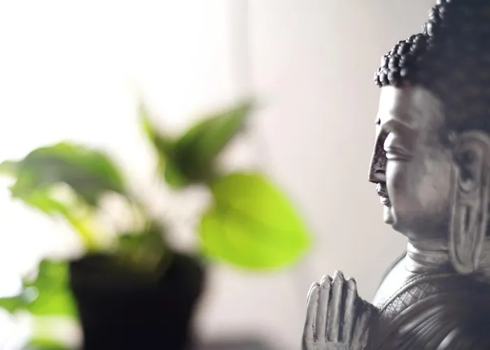 Hébergement de vacances Residencial Primavera *